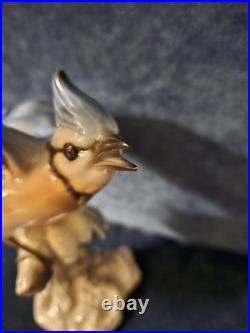 Stunning Hutschenreuther Blue Jay Bird Figurine. VGC, Audubon. 10x7