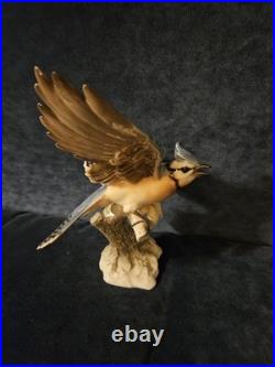Stunning Hutschenreuther Blue Jay Bird Figurine. VGC, Audubon. 10x7