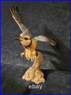 Stunning Hutschenreuther Blue Jay Bird Figurine. VGC, Audubon. 10x7