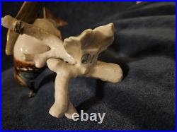 Stunning Hutschenreuther Blue Jay Bird Figurine. VGC, Audubon. 10x7