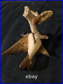 Stunning Hutschenreuther Blue Jay Bird Figurine. VGC, Audubon. 10x7