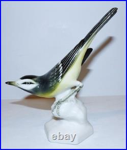 Stunning Vintage Aelteste Volkstedt Germany Porcelain Neuhauser Bird 6 Figurine