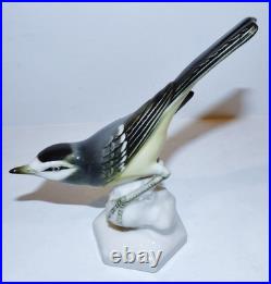 Stunning Vintage Aelteste Volkstedt Germany Porcelain Neuhauser Bird 6 Figurine