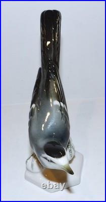 Stunning Vintage Aelteste Volkstedt Germany Porcelain Neuhauser Bird 6 Figurine