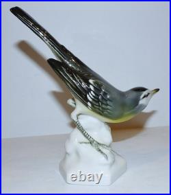 Stunning Vintage Aelteste Volkstedt Germany Porcelain Neuhauser Bird 6 Figurine