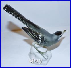 Stunning Vintage Aelteste Volkstedt Germany Porcelain Neuhauser Bird 6 Figurine