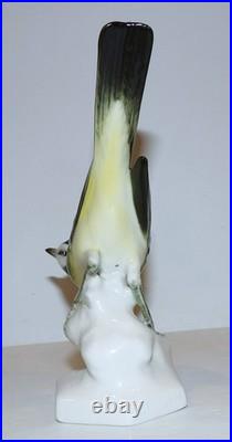 Stunning Vintage Aelteste Volkstedt Germany Porcelain Neuhauser Bird 6 Figurine