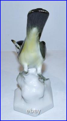Stunning Vintage Aelteste Volkstedt Germany Porcelain Neuhauser Bird 6 Figurine