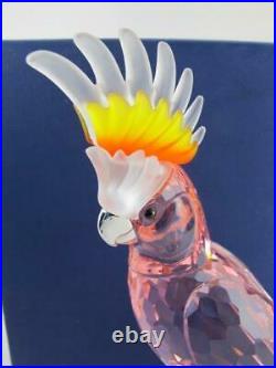 Swarovski $925 Crystal RED COCKATOO Paradise Birds Figurine Statue NEW 0718565