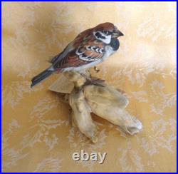 Tay Italy Fine Porcelain Swamp-sparrow Figurine