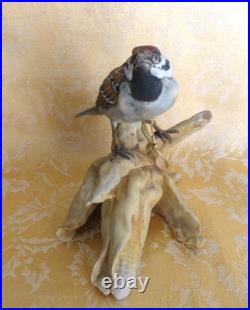 Tay Italy Fine Porcelain Swamp-sparrow Figurine