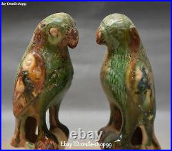 Unique Chinese Tang Sancai Pottery Porcelain Parrot Bird Animal Statue Pair
