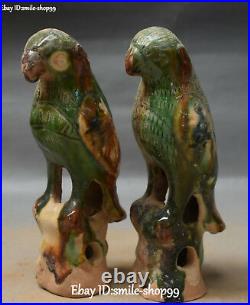 Unique Chinese Tang Sancai Pottery Porcelain Parrot Bird Animal Statue Pair