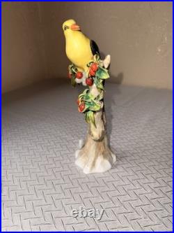 Unique Golden Oriole Perched On A Cherry Tree Sitzendorf Porcelain Bird Figurine