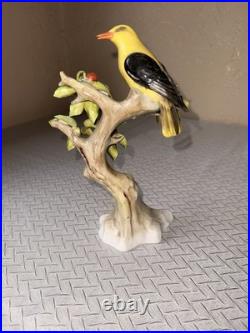 Unique Golden Oriole Perched On A Cherry Tree Sitzendorf Porcelain Bird Figurine
