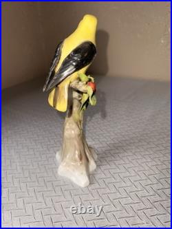 Unique Golden Oriole Perched On A Cherry Tree Sitzendorf Porcelain Bird Figurine