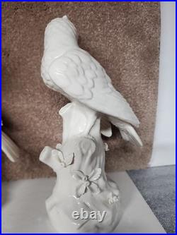 VTGItaly Mottadhedeh Style Porcelain blanc de chine Male and Female Hoopoe Birds