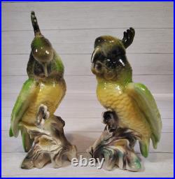 VTG. California Pottery, MCM, Porcelain, Parrots/Cockatoos, Art Figurines, Birds VTG. California Pottery, MCM, Porcelain, Parrots/Cockatoos, Art Figurines, Birds