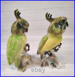 VTG. California Pottery, MCM, Porcelain, Parrots/Cockatoos, Art Figurines, Birds