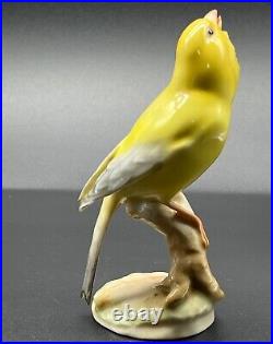 Very RARE Hutschenreuther Porcelain Bird Figurine 5 budgie/ parakeet 2403/3f