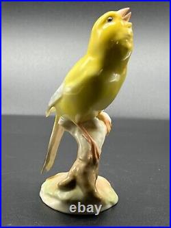 Very RARE Hutschenreuther Porcelain Bird Figurine 5 budgie/ parakeet 2403/3f