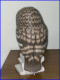 Very Rare Porcelain OWL Statue BING & GRONDAHL #2424 SA Stunning Estate Find