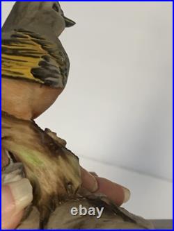 Vier Tasca Capodimonte Porcelain Bird Sculpture RARE