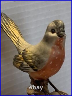 Vier Tasca Capodimonte Porcelain Bird Sculpture RARE
