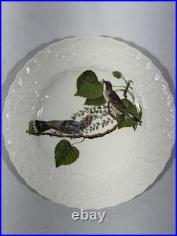 Vintage Alfred Meakin Made In England 12 Porcelain Bird Plates 8.5 Assorted