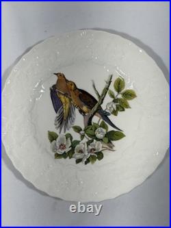 Vintage Alfred Meakin Made In England 12 Porcelain Bird Plates 8.5 Assorted