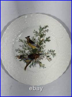 Vintage Alfred Meakin Made In England 12 Porcelain Bird Plates 8.5 Assorted