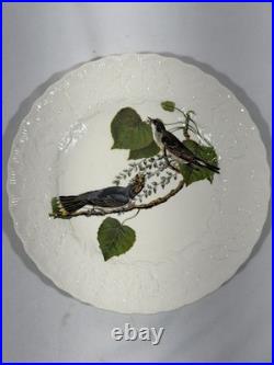 Vintage Alfred Meakin Made In England 12 Porcelain Bird Plates 8.5 Assorted