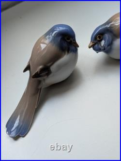 Vintage Bing & Grondahl Porcelain Pair of Titmouse Bird Figurines 1633 & 1635