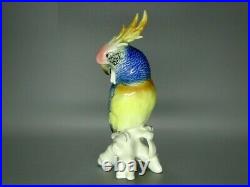 Vintage Blue Cockatoo Parrot Porcelain Figurine Karl Ens Germany 1940-1955 Decor