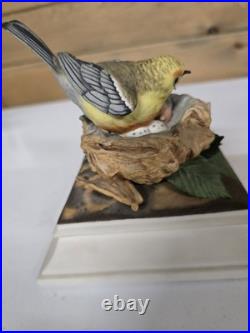 Vintage Boehm Porcelain Prothonotary Warbler Mother Bird 445 See Photo C Or E