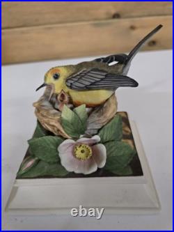 Vintage Boehm Porcelain Prothonotary Warbler Mother Bird 445 See Photo C Or E