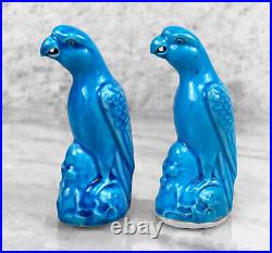 Vintage Chinese Turquoise Blue Glazed Porcelain Parrot Sculptures A Pair
