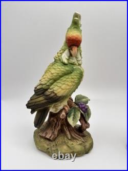 Vintage Cockatoo Pair 5959 Andrea by Sadek porcelain made in Japan. MINT