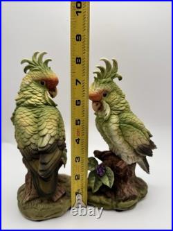 Vintage Cockatoo Pair 5959 Andrea by Sadek porcelain made in Japan. MINT