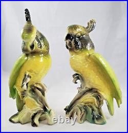Vintage Cockatoo Parrot Birds Porcelain California On Corn MID Century Figurines