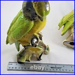 Vintage Cockatoo Parrot Birds Porcelain California On Corn MID Century Figurines