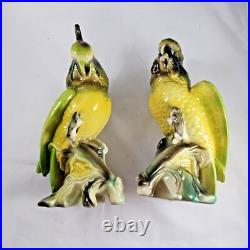Vintage Cockatoo Parrot Birds Porcelain California On Corn MID Century Figurines