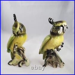Vintage Cockatoo Parrot Birds Porcelain California On Corn MID Century Figurines