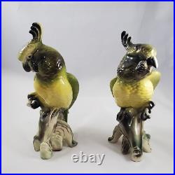 Vintage Cockatoo Parrot Birds Porcelain California On Corn MID Century Figurines