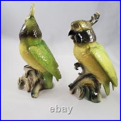 Vintage Cockatoo Parrot Birds Porcelain California On Corn MID Century Figurines