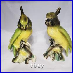 Vintage Cockatoo Parrot Birds Porcelain California On Corn MID Century Figurines