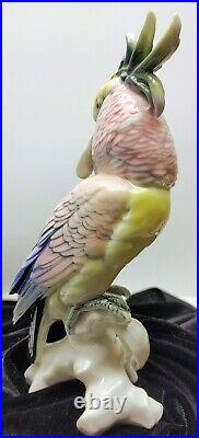 Vintage Cockatoo Pink Parrot Porcelain Figurine Karl Ens Germany 1919-1945 (JG2)