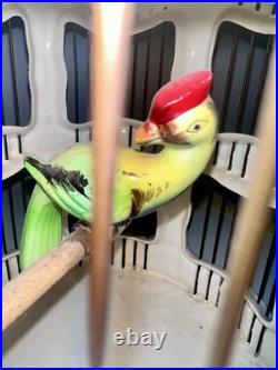 Vintage French Faince Porcelain Ceramic Birdcage Ceiling Hanging With Bird