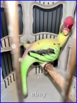 Vintage French Faince Porcelain Ceramic Birdcage Ceiling Hanging With Bird