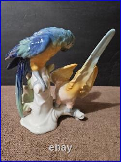 Vintage German Porcelain Apel Porzellan Colorful Double Parrot Figurine 7 5/8